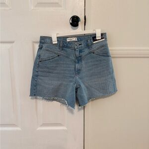 Abercrombie and Fitch the Dad Short High Rise